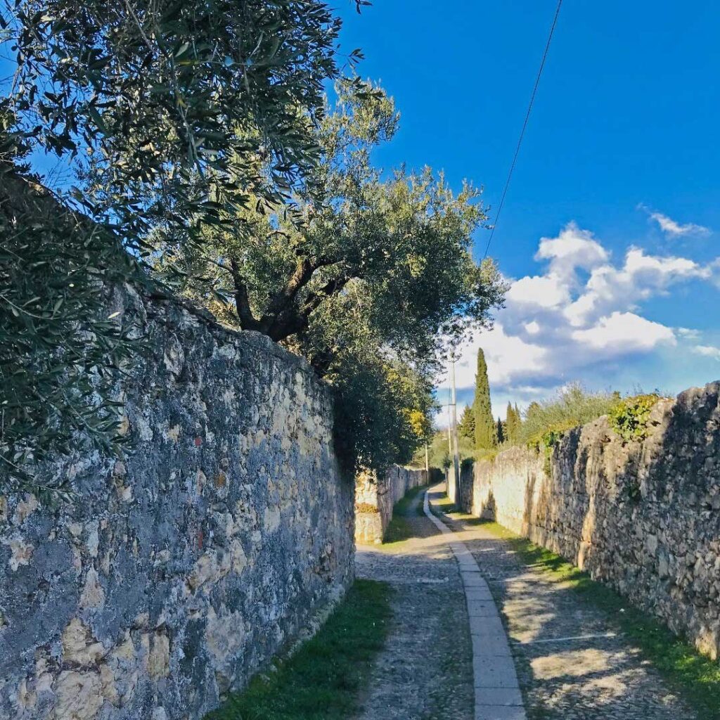 Verona, colline ricche di storia e sentieri nascosti per emozioni uniche